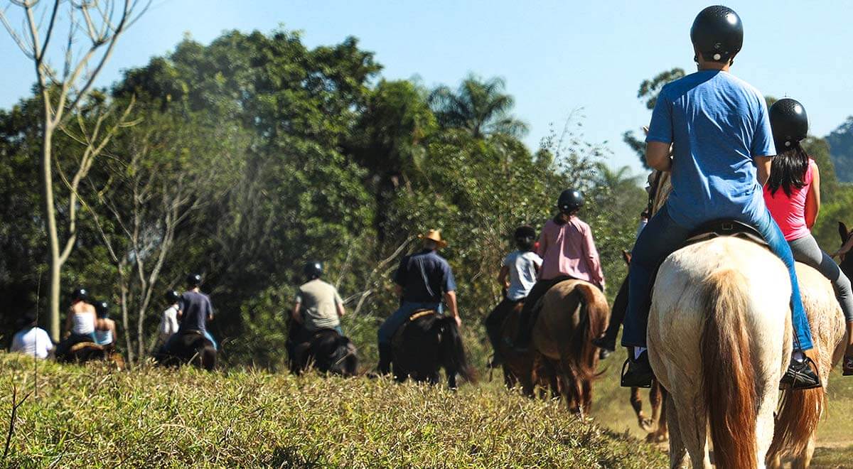 Venha Cavalgar com a gente